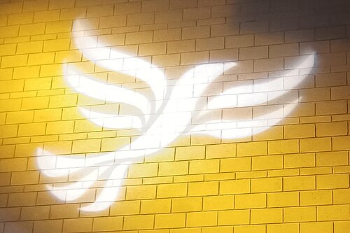 Lib Dem logo bird projected on blockwork