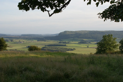 Lyth Valley view