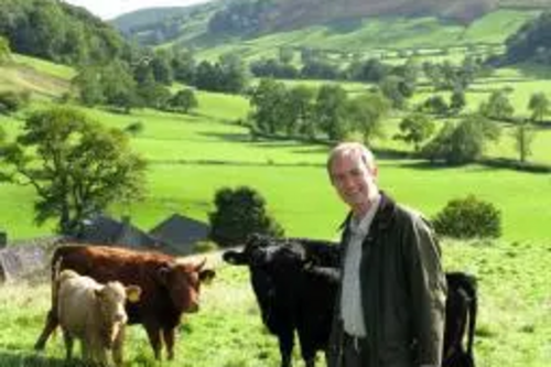 Farron supports plans for new Auction Mart site