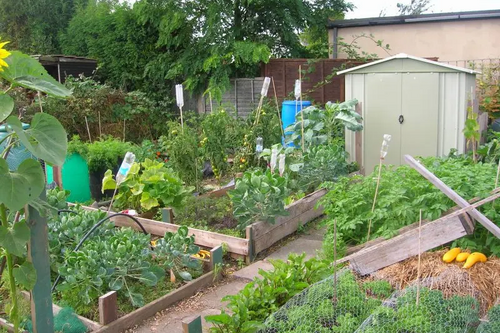 Local MP Tim Farron has called on South Lakeland District Council to look at bringing small plots of disused land back into use as community allotments all over the South Lakes.  